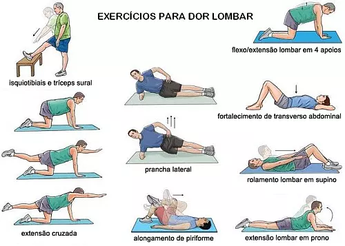 Exemplos de representação exercícios para evitar dor na lombar infográfico